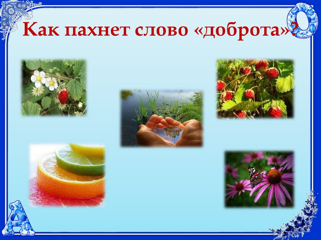 Как пахнет слово «доброта»?