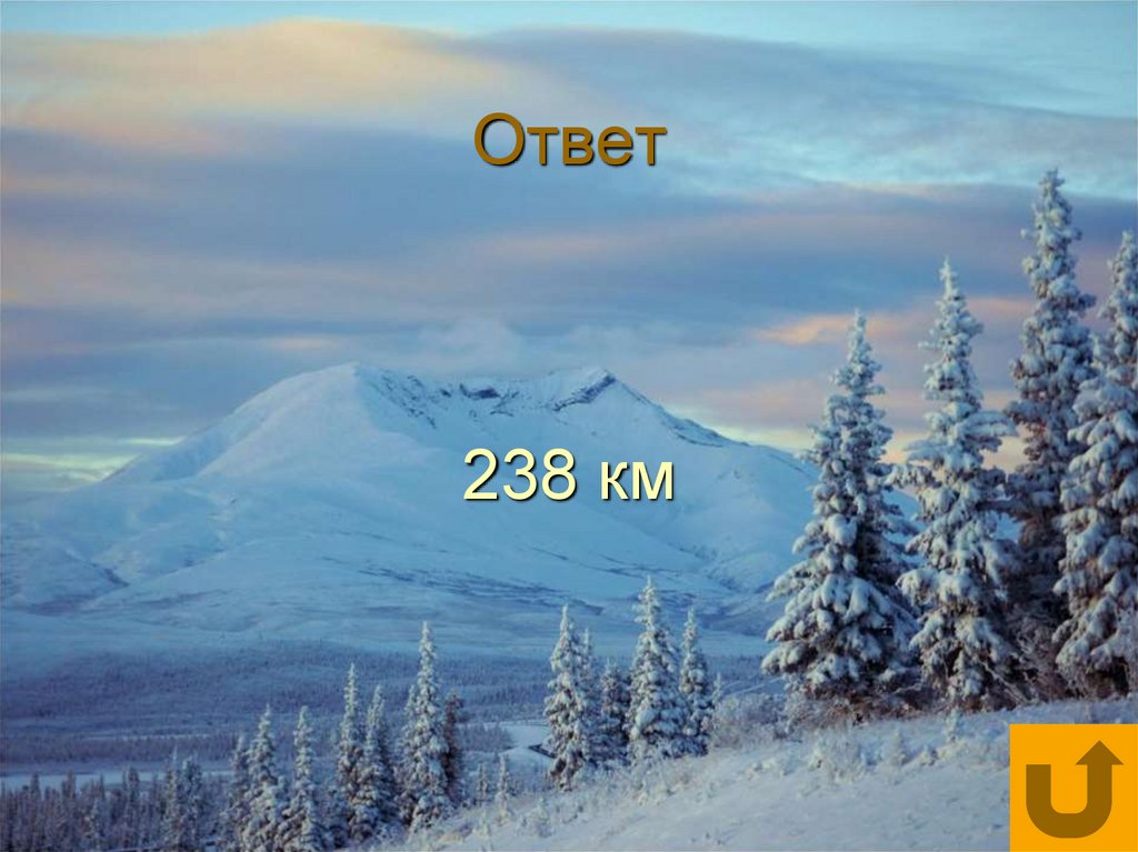 Ответ 238 км