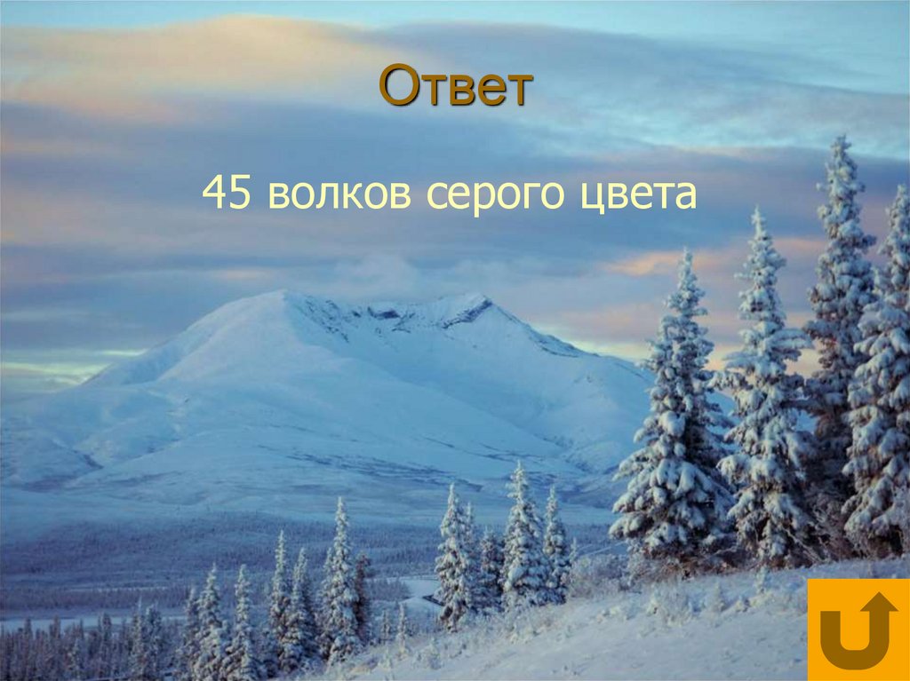 Ответ