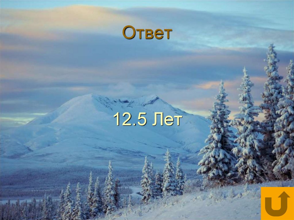 Ответ 12.5 Лет