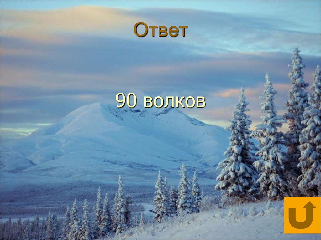 Ответ 90 волков