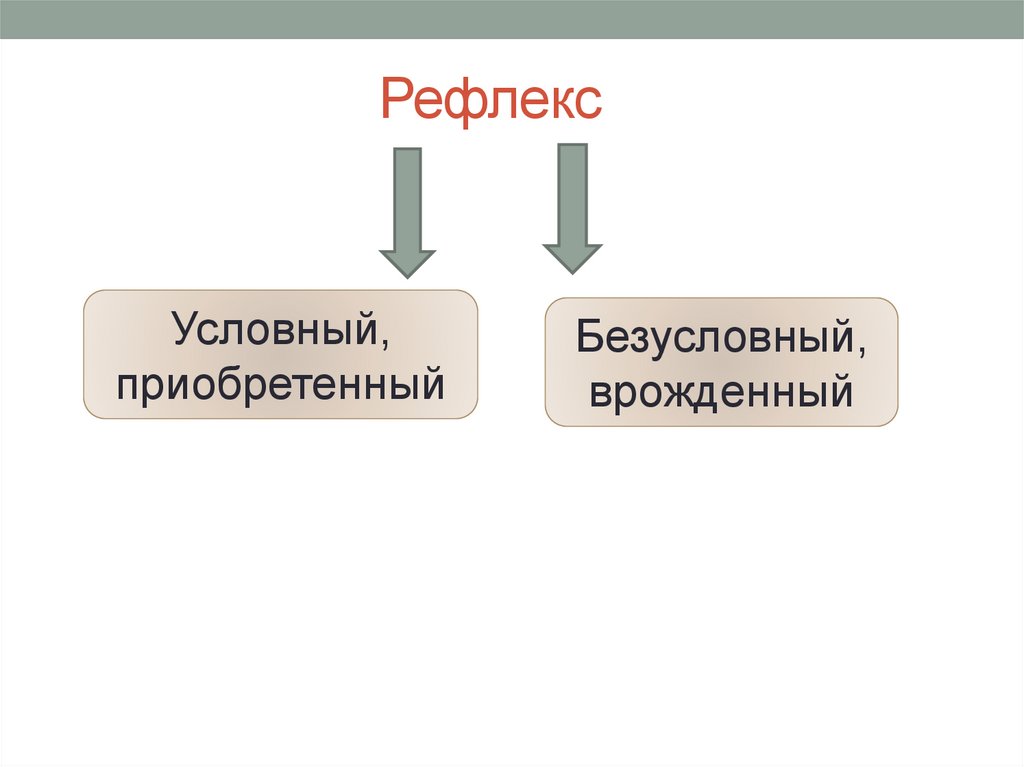 Условные приобретенные. Врожденные и приобретенные рефлексы. Условных рефлексы врожденные и приобретенные. Врожденный рефлекс и приобретенный рефлекс. Рефлекс приобретенный врожденный биология.