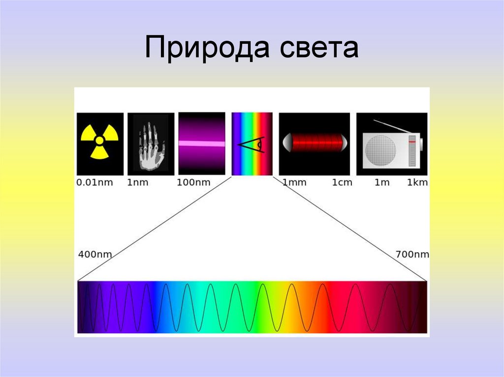 Природа света