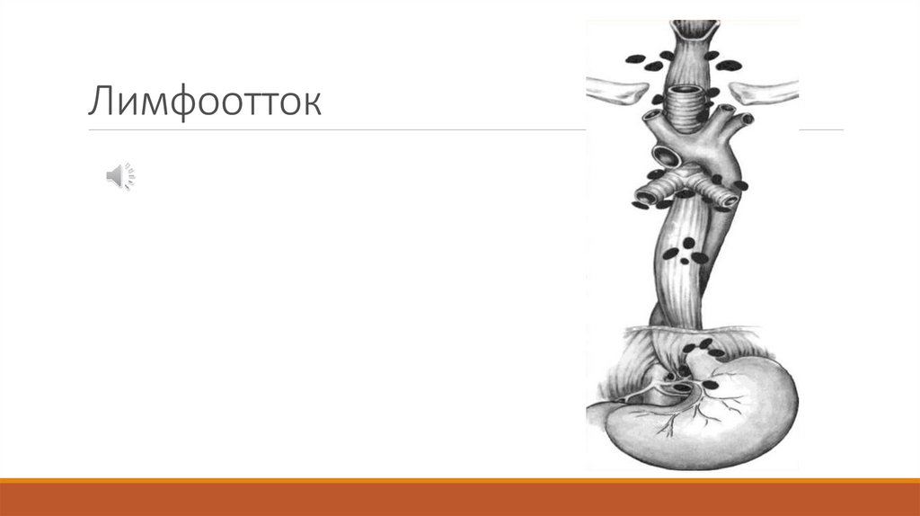 Лимфоотток