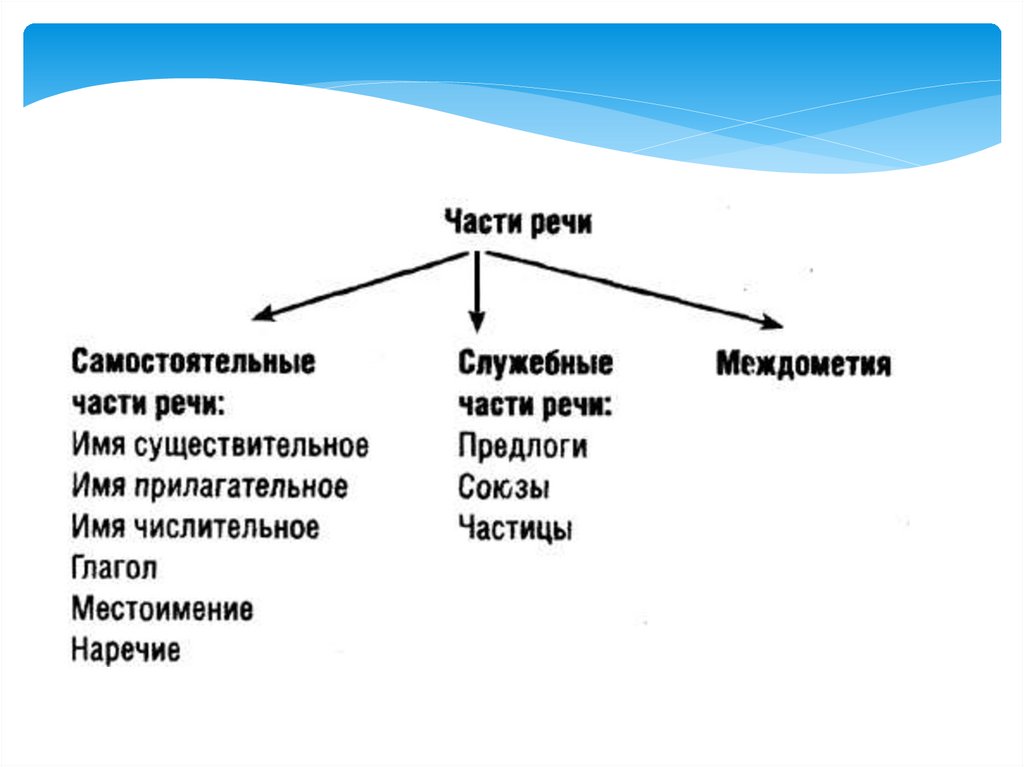 Раздел грамматики изучающая связной речи