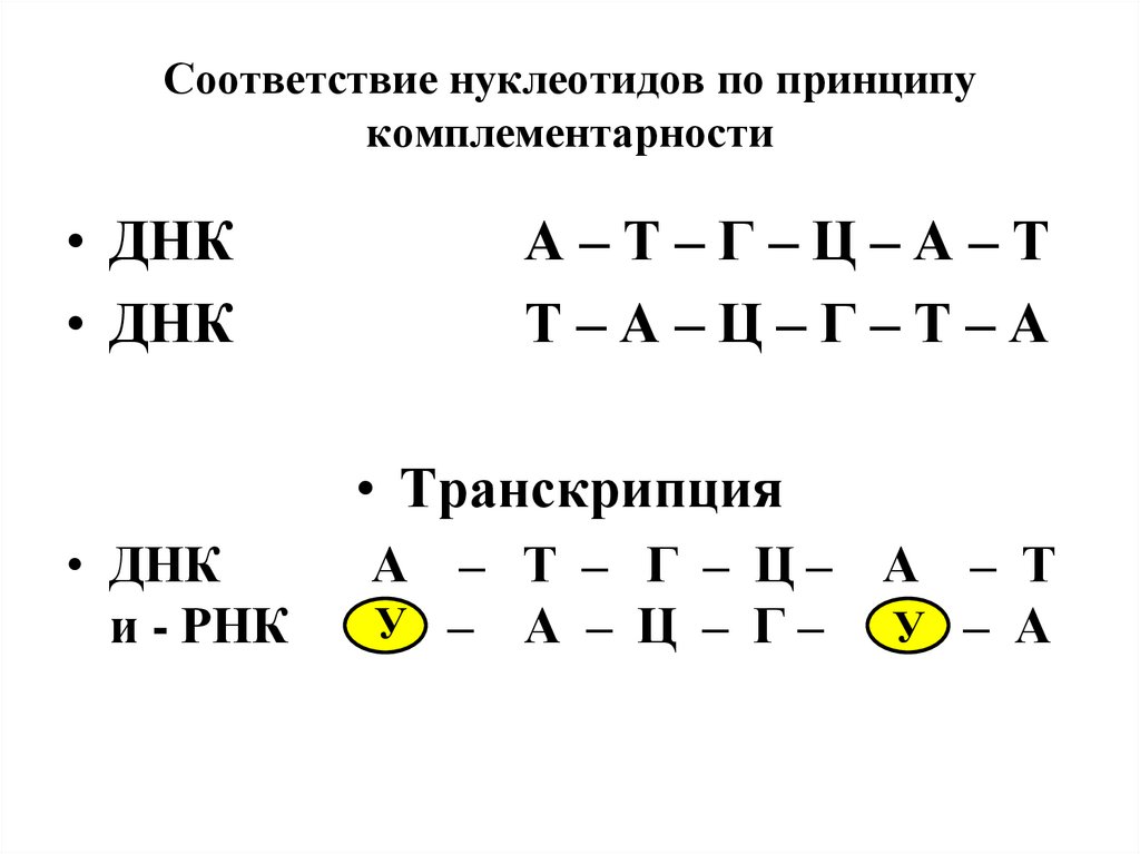 Комплементарность днк