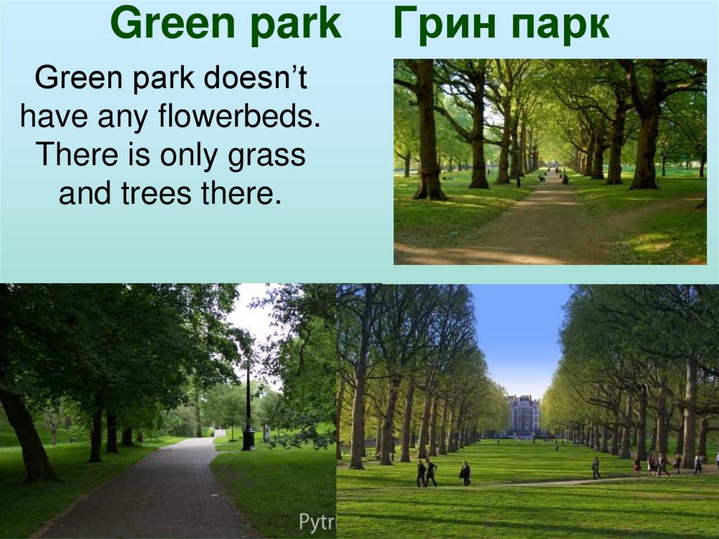 Информация про парк. Грин-парк (Green Park) Лондон. Парки Лондона презентация. Грин-парк кратко. Royal Park в Лондоне.