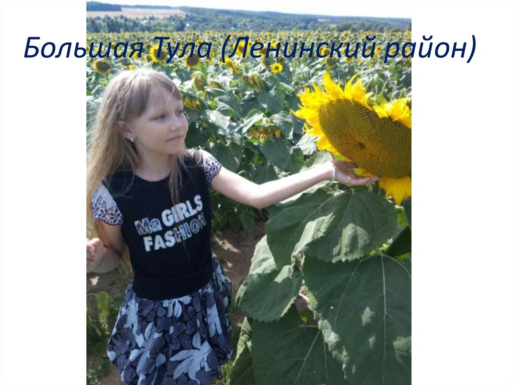 Большая Тула (Ленинский район)