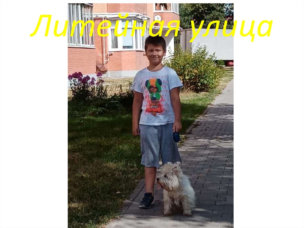 Литейная улица