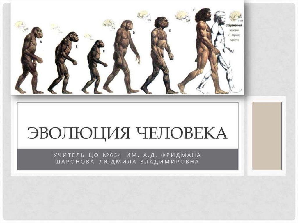 Развитие человека основные направления развития человека. Эволюция человека. Эволюция человека фото. Плакат Эволюция человека. Процесс эволюции человека.