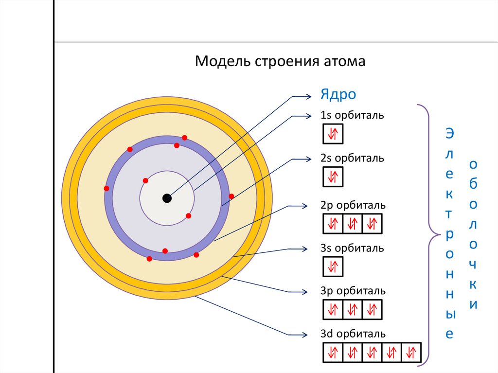 Строение электронных оболочек атомов 8 класс тест. Схема строения электронной оболочки атома водорода. Строение атома 8 класс. Модель электронного строения. Модель электронного строения атома Бора.