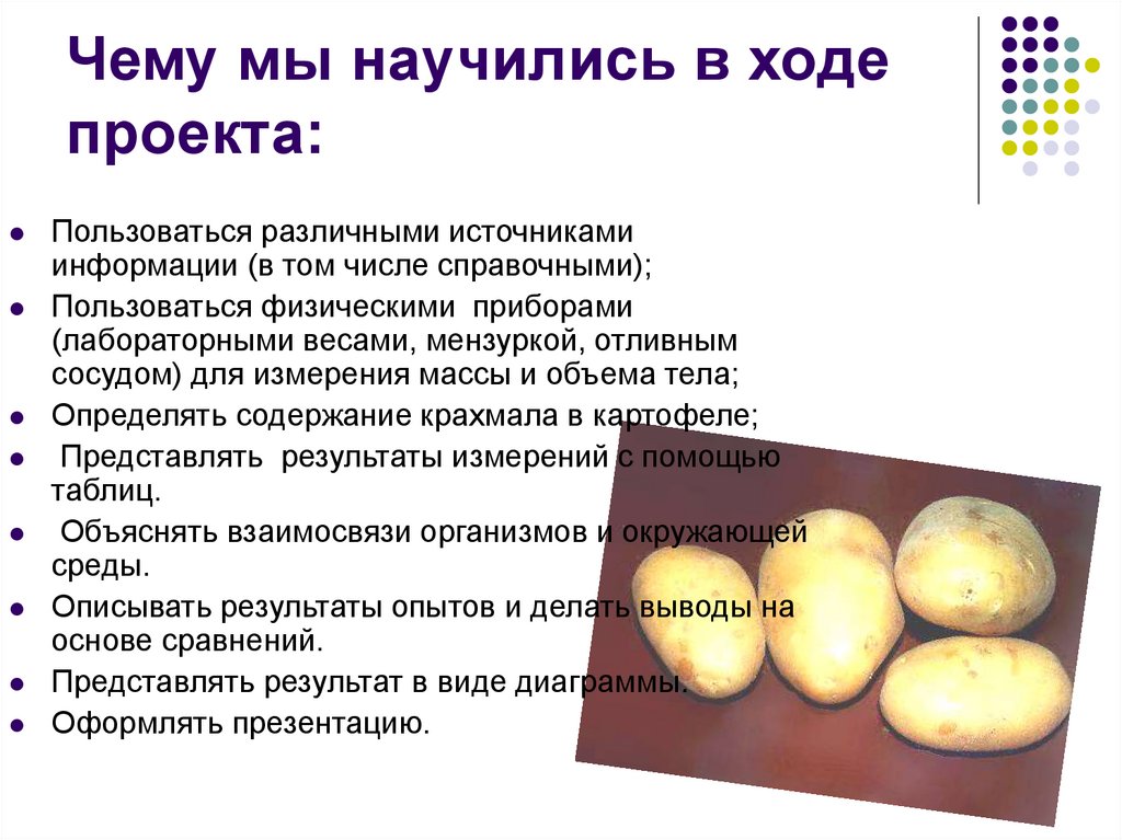 Чему мы научились в ходе проекта: