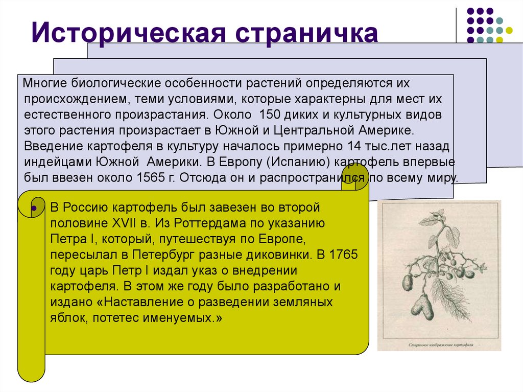 Историческая страничка