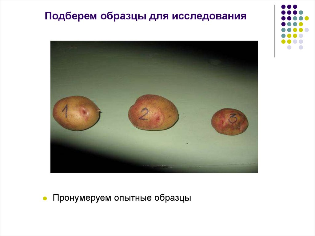 Подберем образцы для исследования