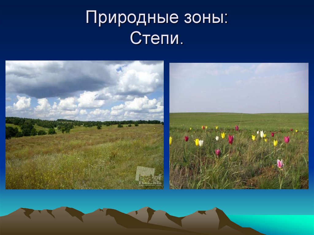Страны степной зоны. Зона степей. Природные зоны России степь. Природные условия степи. Степь природная зона 4 класс.