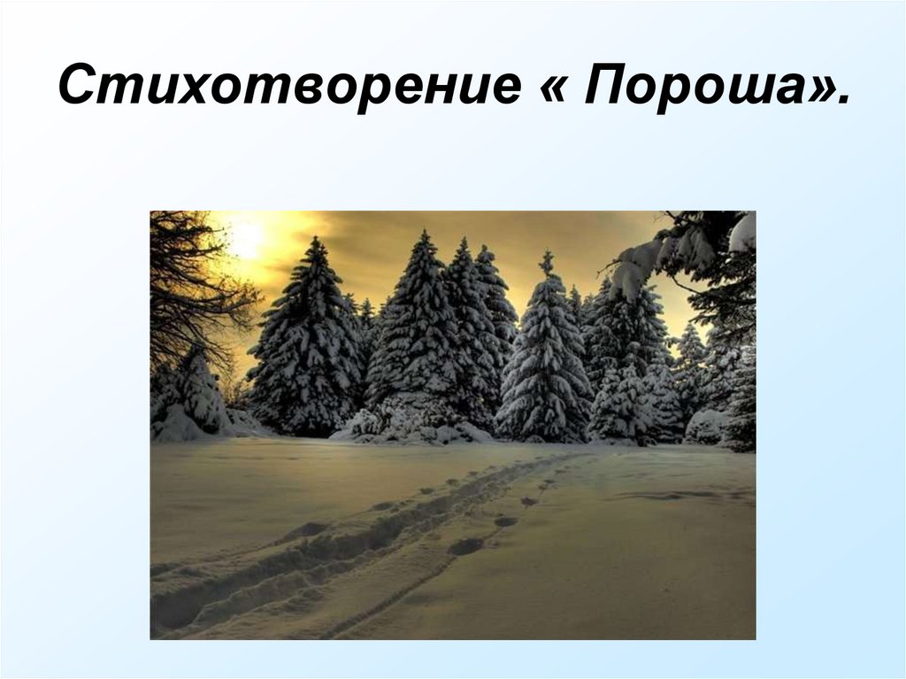 Стих пороша текст. Стих Есенина пороша. Стихотворение Сергея Есенина пороша. Порошаилюстрации к стихотворению. Пороша Есенин рисунок к стихотворению.