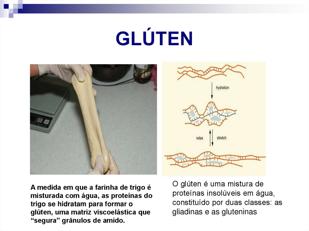 GLÚTEN