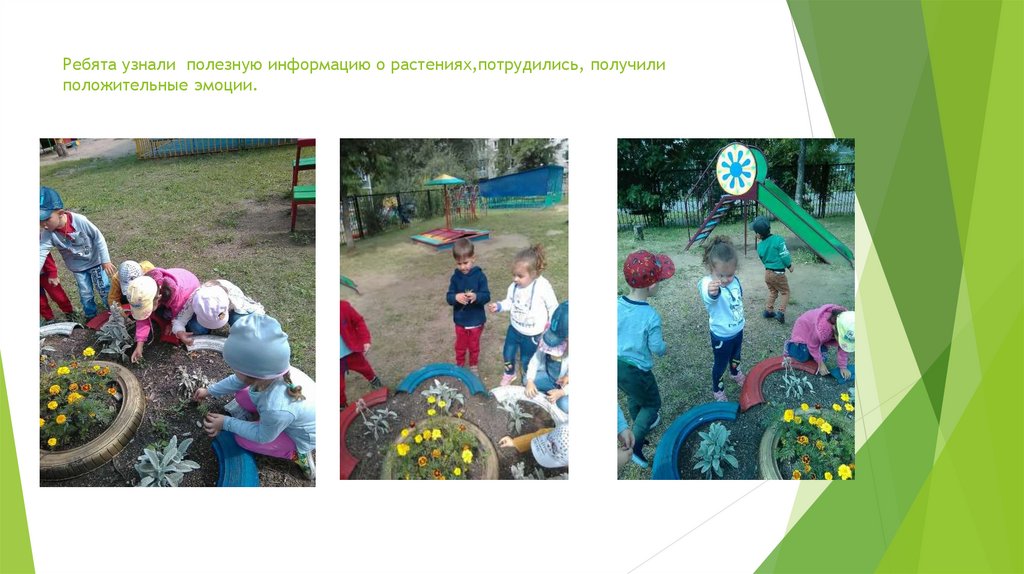Ребята узнали полезную информацию о растениях,потрудились, получили положительные эмоции.