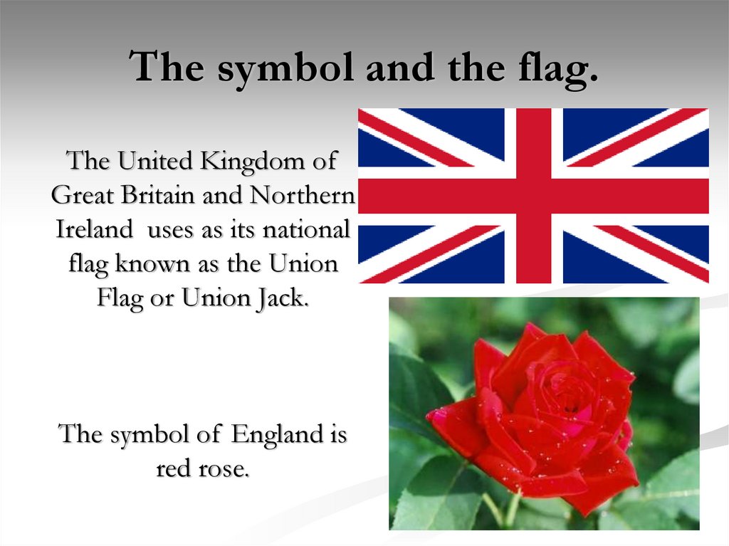 The symbol and the flag.