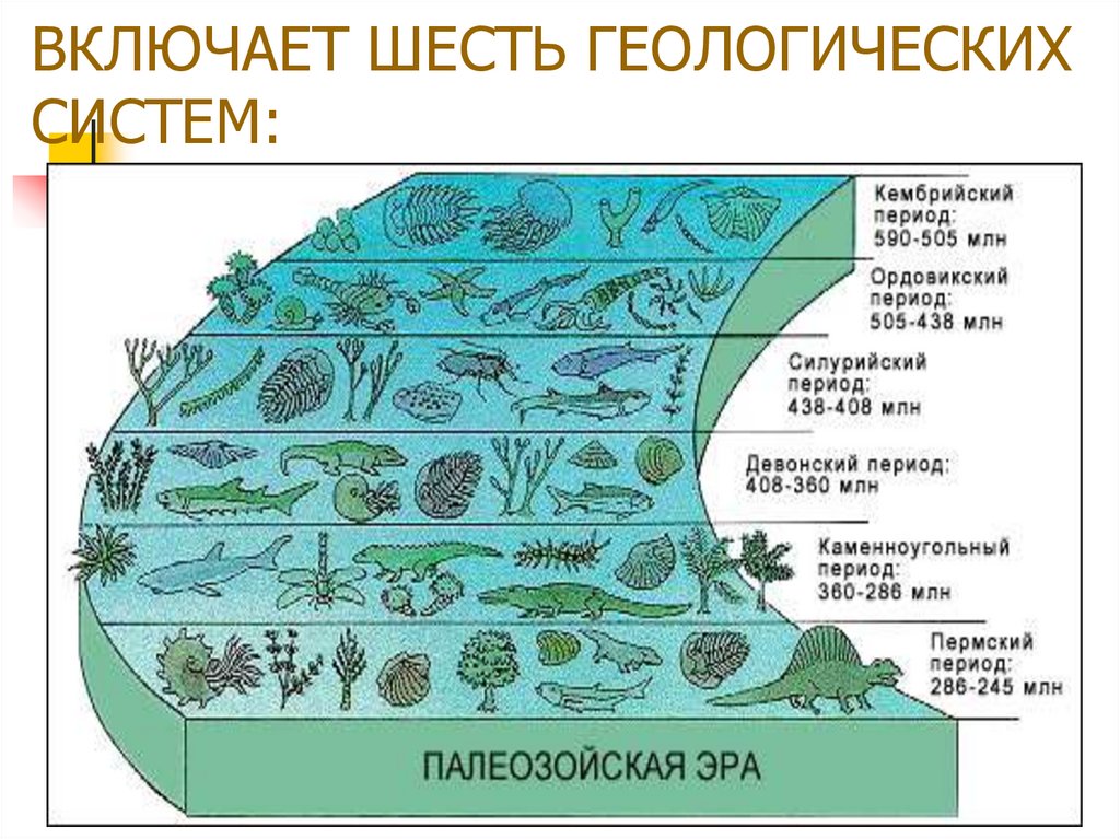 Развитие жизни презентация. Палеозойская Эра периоды. Геологические условия палеозойской эры. Палеозойская Эра делится на периоды. Палеозойская Эра временные рамки.