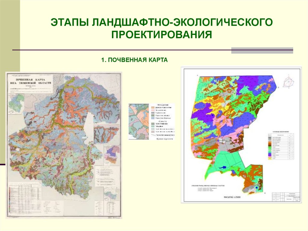 Почвенная карта новосибирской области