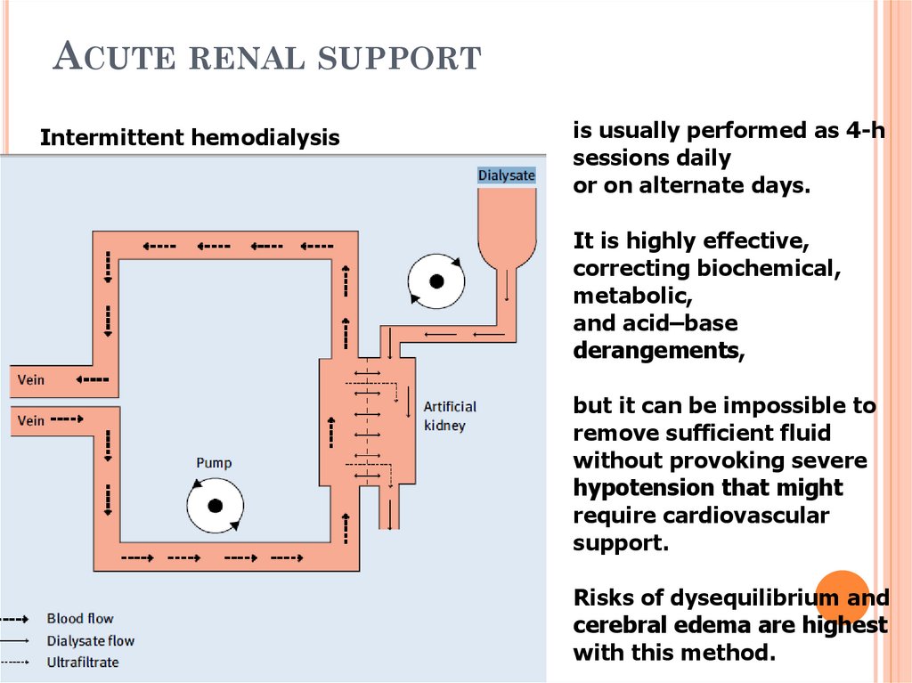 Acute renal support