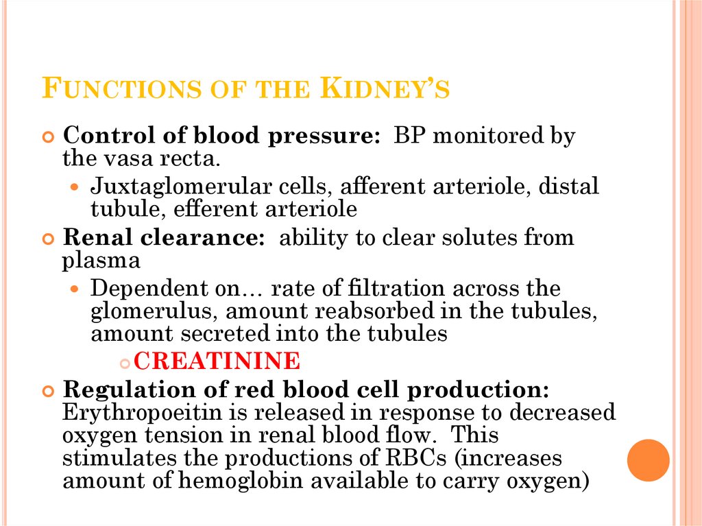 Functions of the Kidney’s