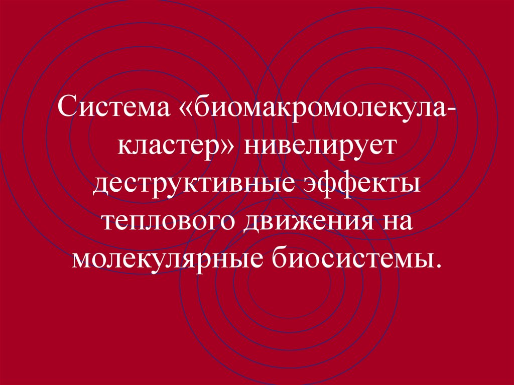 Система «биомакромолекула-кластер» нивелирует деструктивные эффекты теплового движения на молекулярные биосистемы.