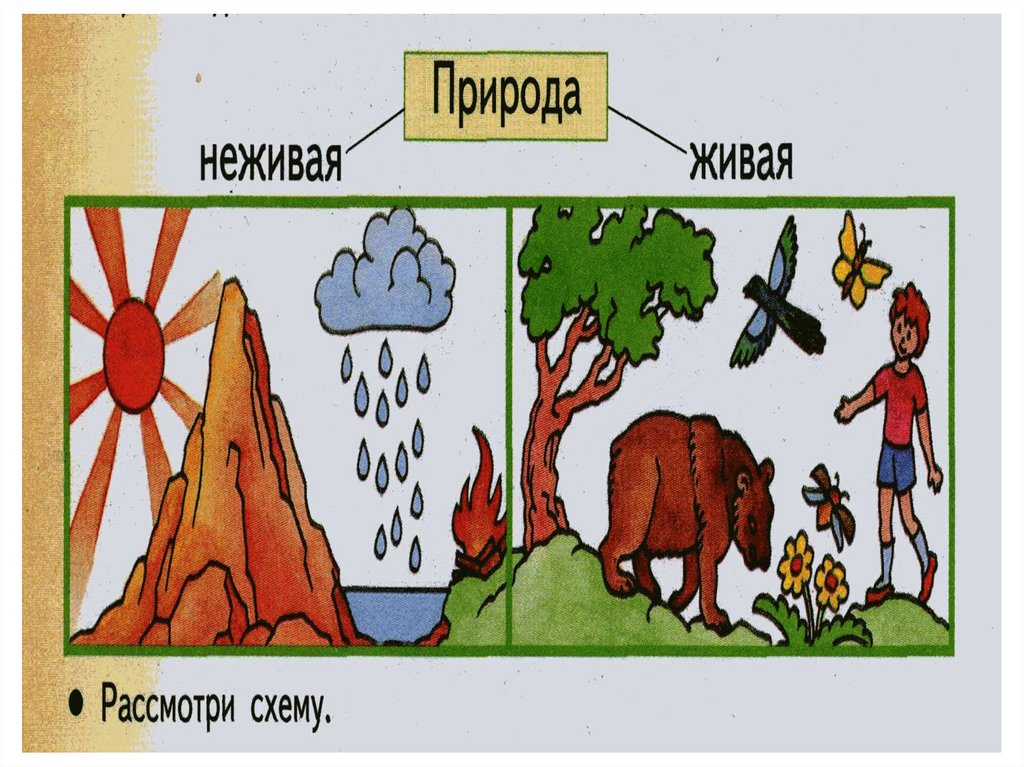 Знакомство С Неживой Природой В Старшей Группе