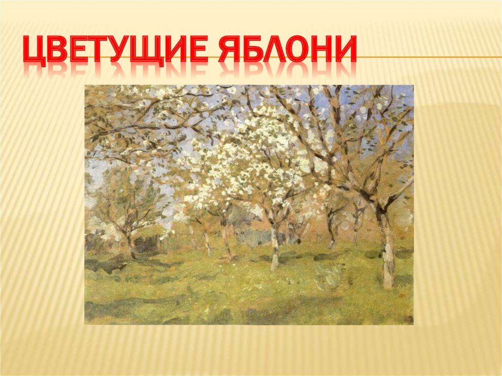 Цветущие яблони