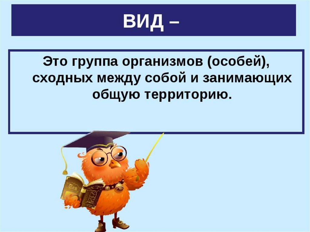 Группа особей. Вид это группа организмов. Вид это группа особей. Группы организмов 5 класс. Вид.