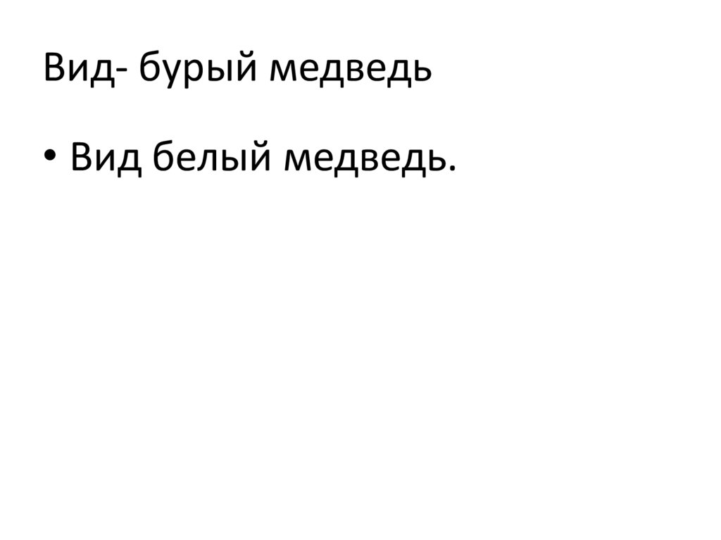 Вид- бурый медведь