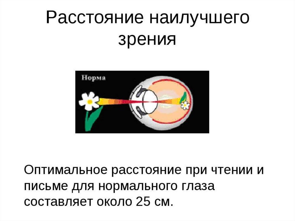 Зрительная система презентация