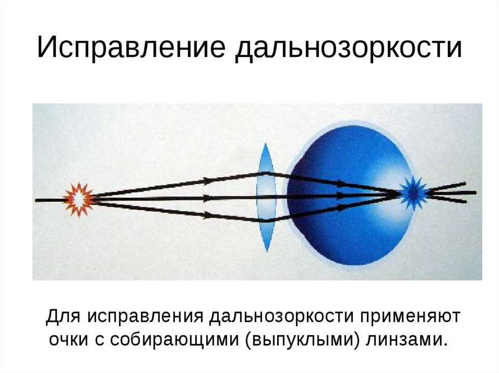 Презентация по физике глаз как оптическая система