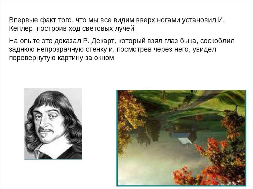 Поставь факт. Мы видим мир вверх ногами. Мы видим мир перевернутым. Факт того что. Правда что мы видим все вверх ногами.