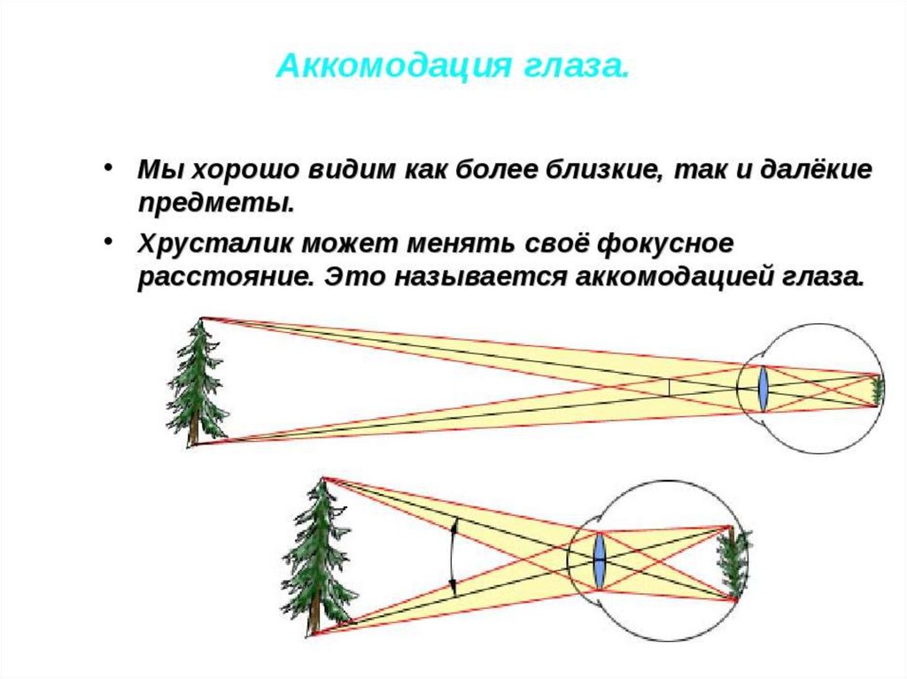 Схема как человек видит