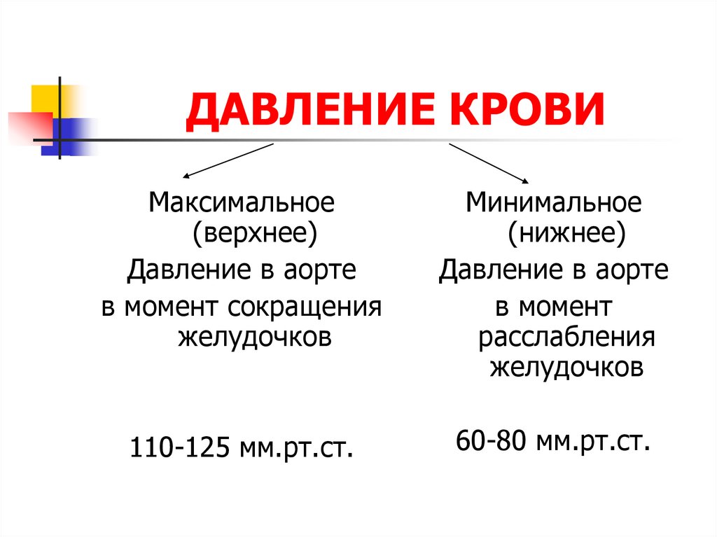 Как называется максимальная. Давление крови. Максимальное давление крови. Давление крови в сосудах. Давление крови в аорте.