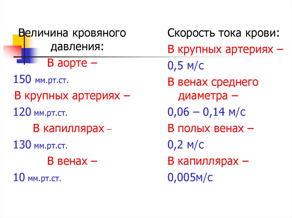 Скорость тока артерии