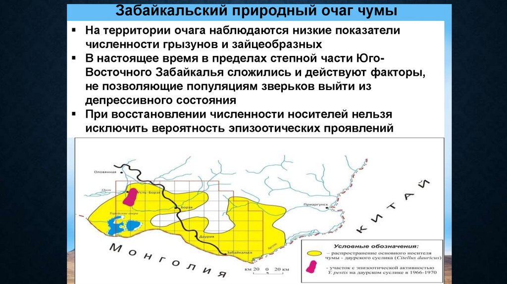 Природные очаги чумы. Природный очаг. Природные очаги чумы карта.