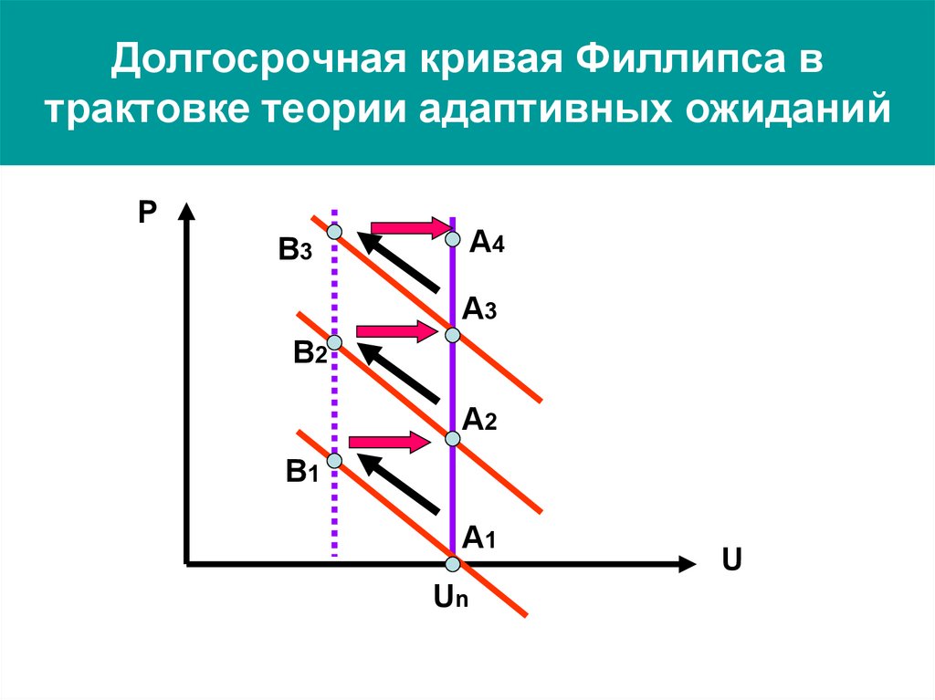 Долгосрочная кривая. Долгосрочная кривая Филлипса. Кривая Филлипса в теории адаптивных ожиданий. Кривая Филлипса адаптивные и рациональные ожидания. Кривая Филлипса в теории адаптивных и рациональных ожиданий.