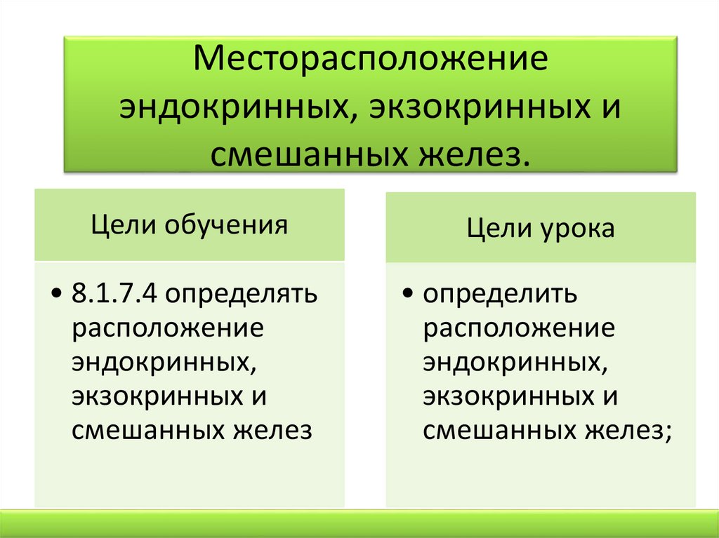 Схема строения эндокринных и экзокринных желез