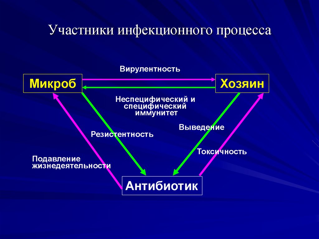 Инфекционный процесс это