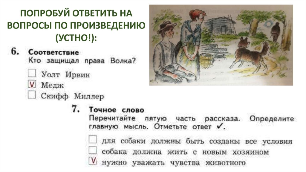 План рассказа бурый волк джек лондон 3 класс