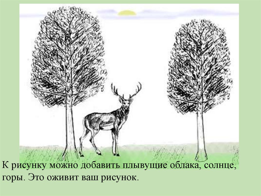 Рассмотри рисунок деревья. 6 Деревьев рисунок. Как рисовать животных деревья. Животное рядом с деревом рисунок. Животные рядом с деревом нарисовать.