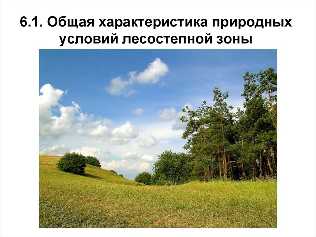 Лесостепная зона. Лесостепная зона Тульской области. Лесостепная зона Татарстана. Лесостепная зона Челябинской области.