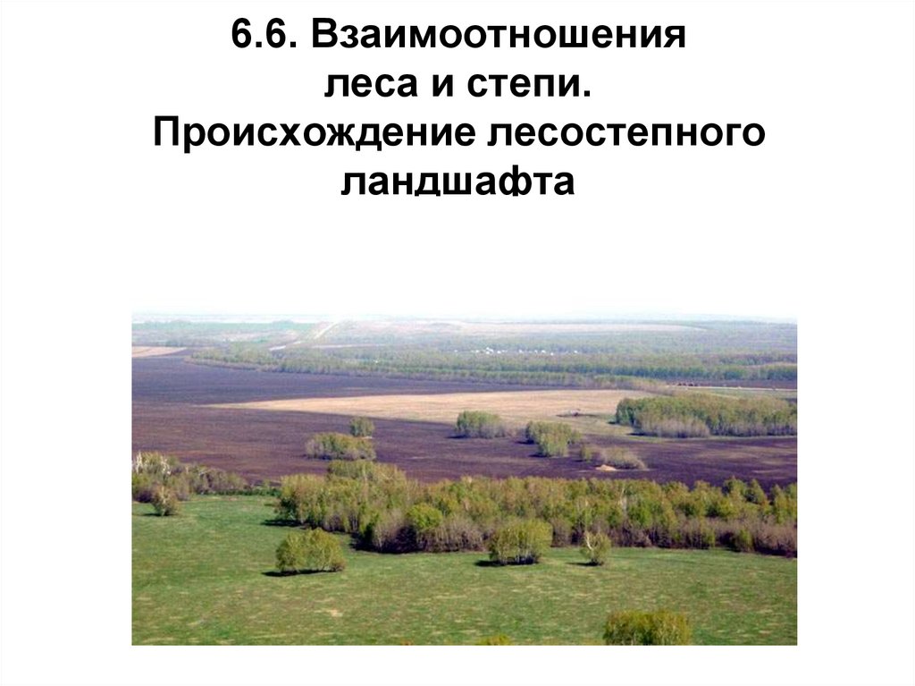Лесостепная зона Челябинской области. Лесостепная зона Омской области. Приспособление лесостепной зоны. Лесостепная зона Тульской области.