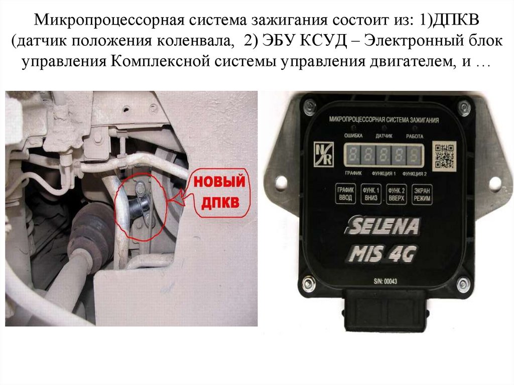 МИНИСТЕРСТВО СЕЛЬСКОГО ХОЗЯЙСТВА И ПРОДОВОЛЬСТВИЯ