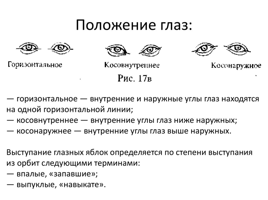 Веки криминалистика. Положение глаз. Горизонтальное расположение глаз. Положение глаз человека. Горизонтальное положение глаз.