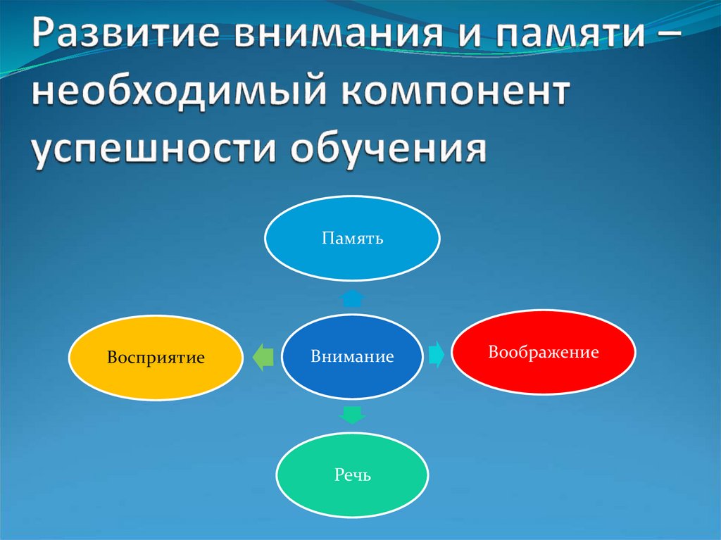 Развитие внимания и памяти – необходимый компонент успешности обучения