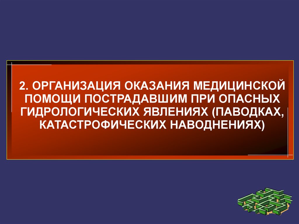 Организация оказания медицинской помощи презентация